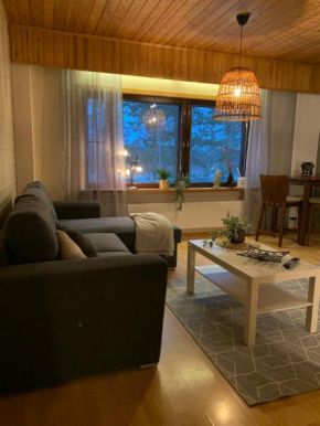 Tilava huoneisto Saarijärvi